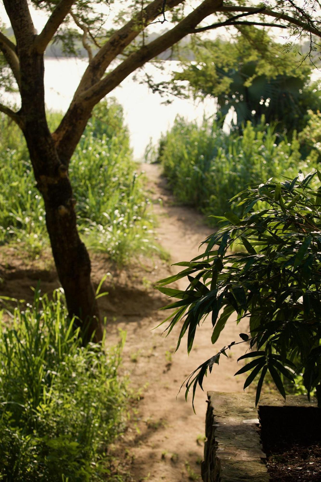 Baker Safari Company Villa Kwangwazi Eksteriør bilde